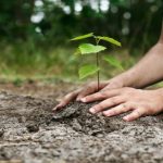 آرمان‌های توسعۀ پایدار و سازمان‌های مردم‌نهاد